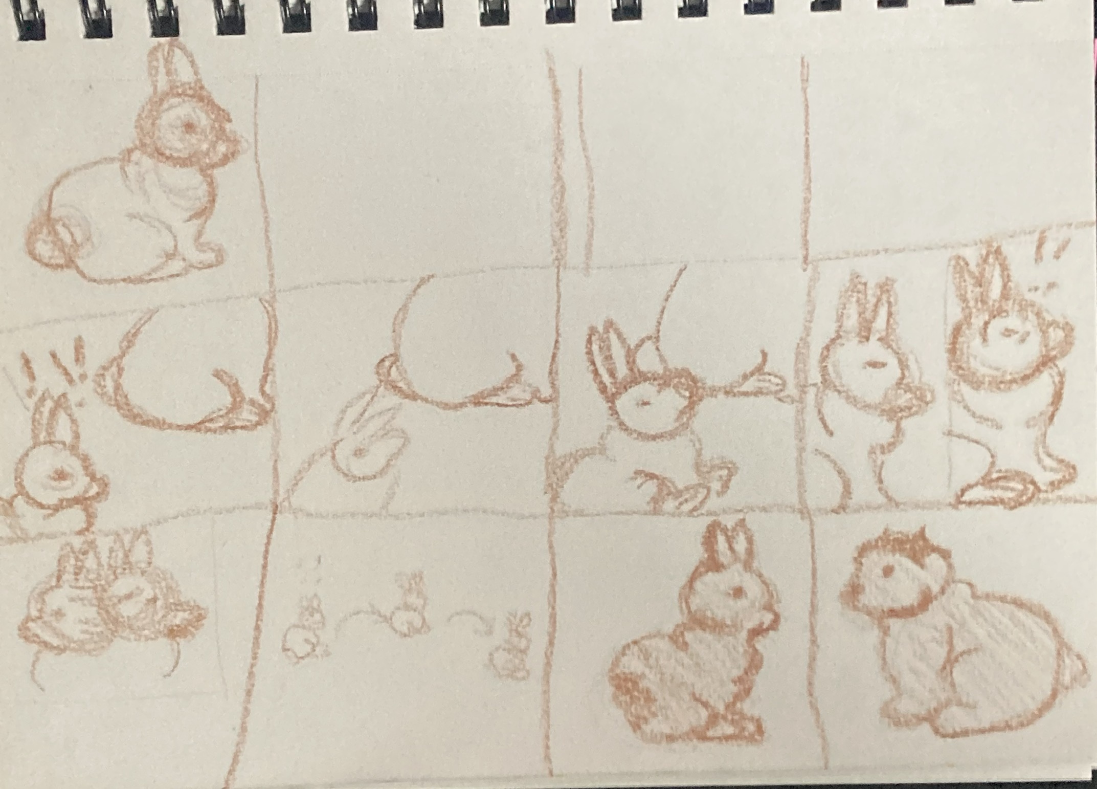 Bunny Storyboard